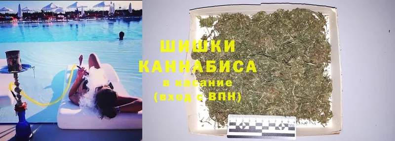 Шишки марихуана Amnesia  как найти наркотики  Ижевск 